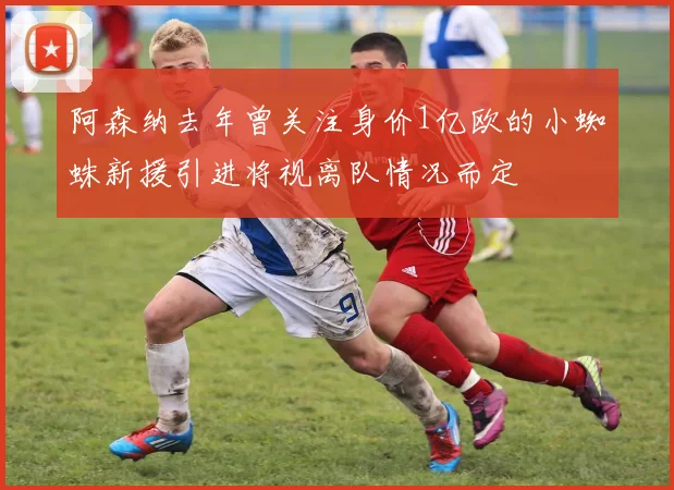 阿森纳去年曾关注身价1亿欧的小蜘蛛新援引进将视离队情况而定