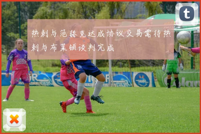 热刺与范赫克达成协议交易需待热刺与布莱顿谈判完成